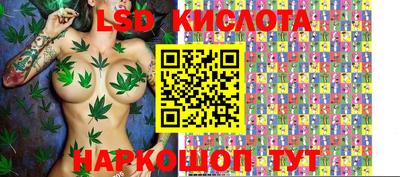 твердый Новозыбков