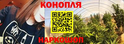 твердый Новозыбков